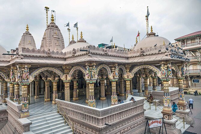 Gujarat Archaeological & Natural Wonders - Wildlife Encounters