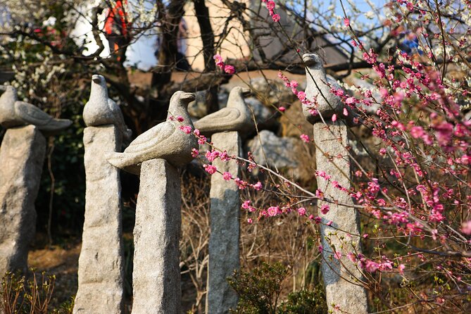 Gwangyang Plum Blossom Festival & Jeonju Hanok Village Day Tour - Transportation Details