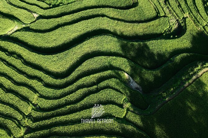 Hagiang City Tour 1/2 Day to Local Villages, Waterfall, Ricefield - Frequently Asked Questions