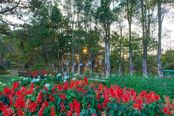 Half Day Guided Tour in Da Lat City - Meeting and Pickup Details