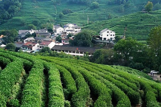 Half-Day Hangzhou Nature Explore With Green Tea Village and Yunxi Bamboo Forest - The Sum Up