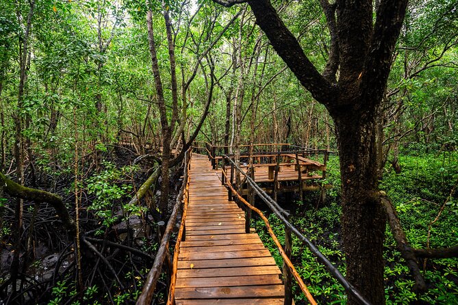 Half-Day Jozani Forest and Spice Farm Guided Tour - Pickup Instructions