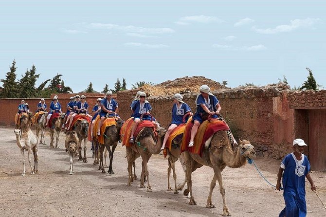 Half Day Marrakech Camel Safari - Directions for Pickup