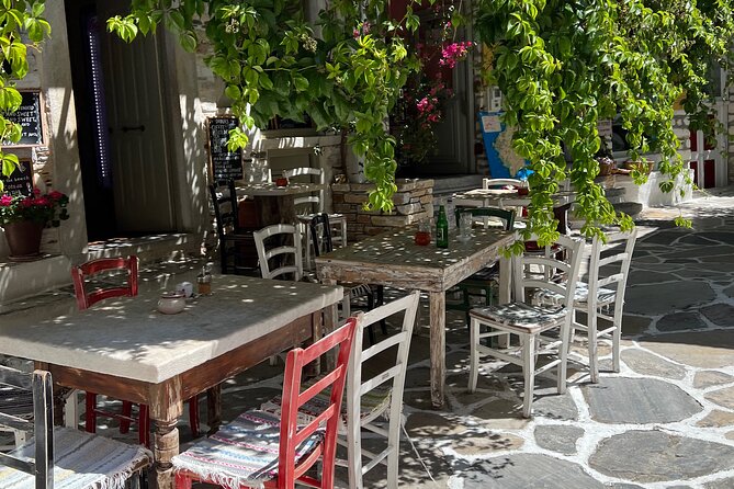 Half Day Naxos Village Private Tour - Customer Reviews