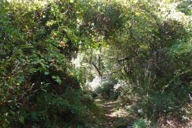 Half-Day Private Gorge Walking Adventure in Meskla - Weather Contingency Plans