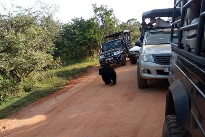 Half-Day Private Safari Tour in Yala National Park - Booking and Pricing Information