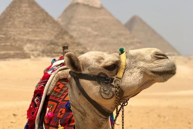 Half-Day Private Tour of Giza Pyramids With Camel Ride - Booking Process