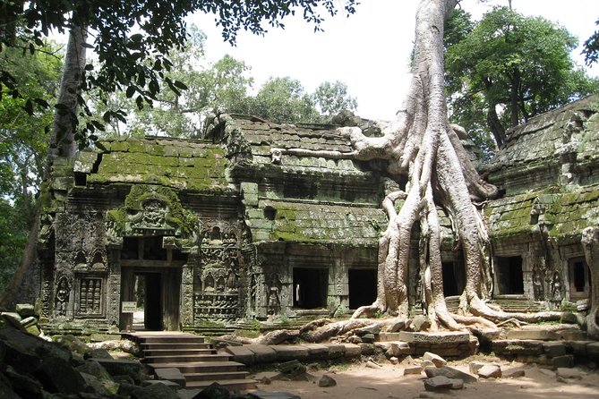 Half Day Private Tour: Tomb Raider & Banteay Kdei Temple - The Sum Up