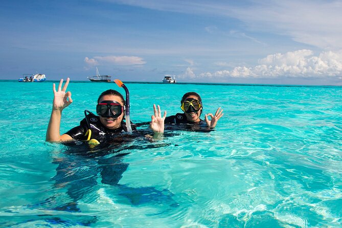 Half-day Snorkeling at Mnemba Coral Gardens - The Sum Up