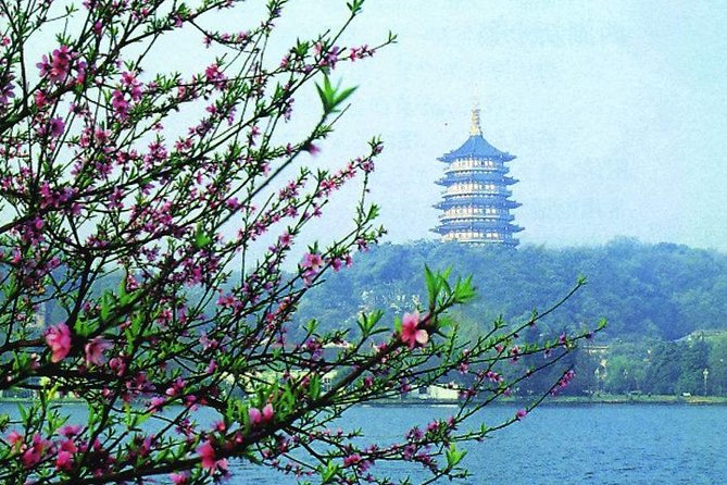 Hangzhou Downtown Transfer to Hangzhou Xiaoshan Airport - Accessibility and Language Support