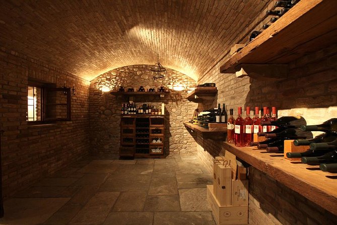 Harvest & Flavor: Pastamaking Class/Wine Tasting - Countryside - The Sum Up