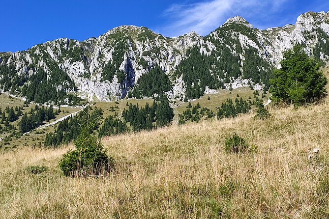 Hike the Highest Peak in Piatra Craiului Mountains (2238 M) - Hiking Experience Highlights