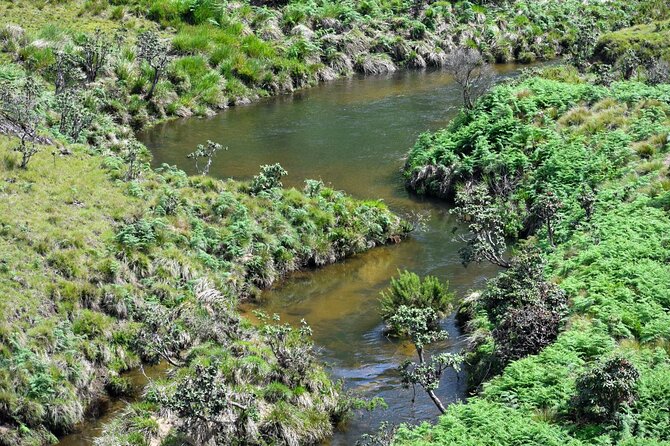 Hiking in Horton Plains National Park From Ella