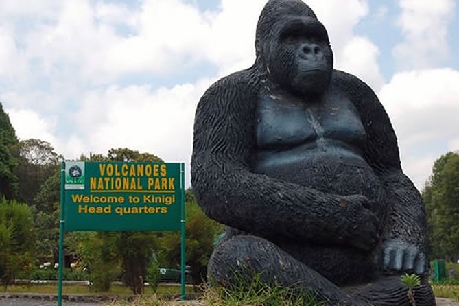 Hiking to Dian Fossey's Tomb in the Volcanoes National Park - Inclusions and Pickup Points
