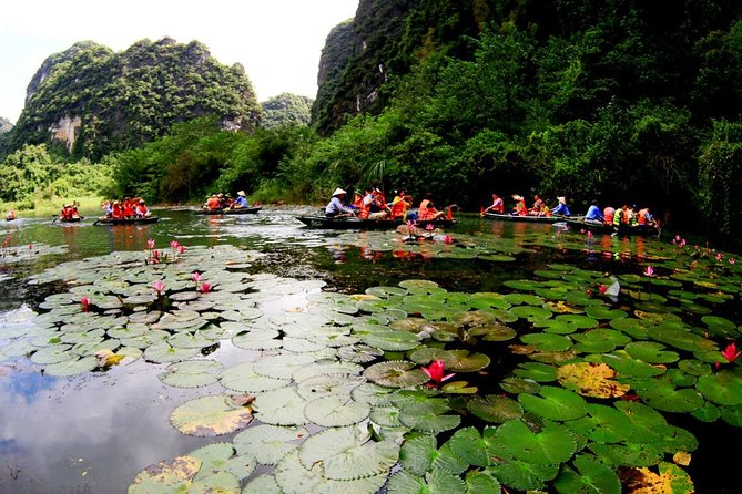 Hoa Lu - Trang an Landscape Complex- Mua Cave (Full Day) - Transportation and Guide