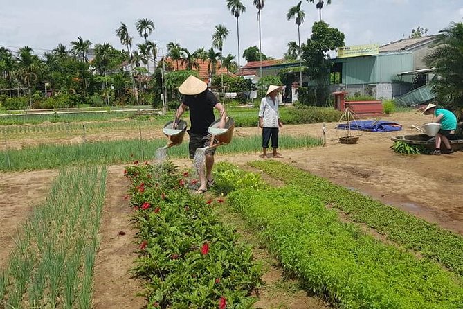 Hoi an Countryside Tour With 3 Local Villages & Lunch - Safety and Accessibility