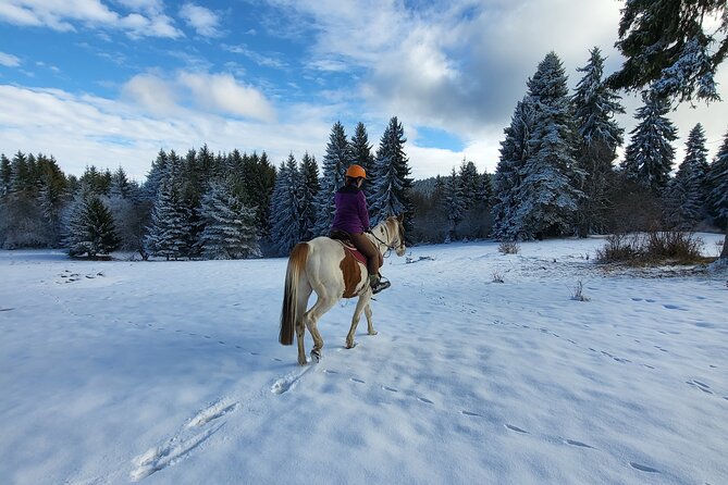 Horse Riding Experience From Borovets - Price and Booking Details