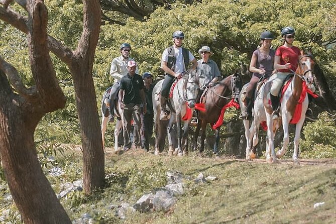 Horse Riding Tour (7 Days) - Itinerary Highlights
