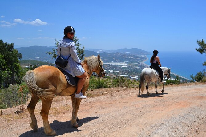 Horse Riding Tour in Bodrum With Roundtrip Transfer - Tips for a Great Experience