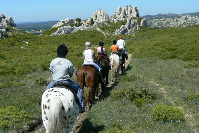 Horseback Riding in Sainte Victoire and Picnic With Wine Tasting - Booking Process