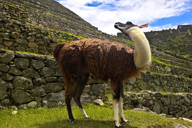 Huchuy Qosqo Trek 3 Days/2 Nights - Meals, Transportation, and Equipment