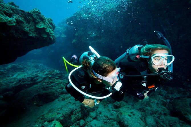 Hurghada Diving Excursion With 2 Stops for Beginners - Dive Site 1: Underwater Wildlife