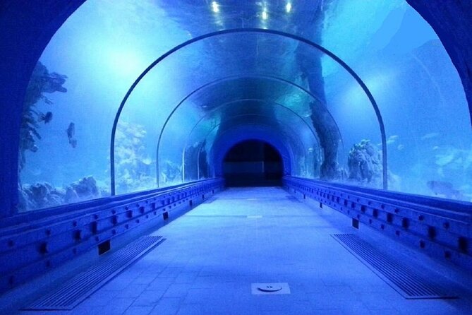 Hurghada Grand Aquarium Tour With Skip the Line Ticket - Tips for a Great Experience