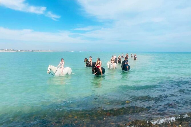 Hurghada: Horse Riding in the Desert & Swimming in the Sea - Tour Capacity and Restrictions
