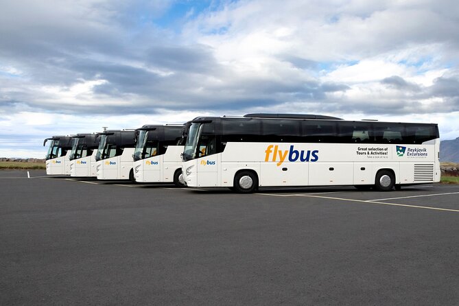 Iceland: Airport Transfer Between Reykjavík Center and Keflavík - Vehicle Amenities
