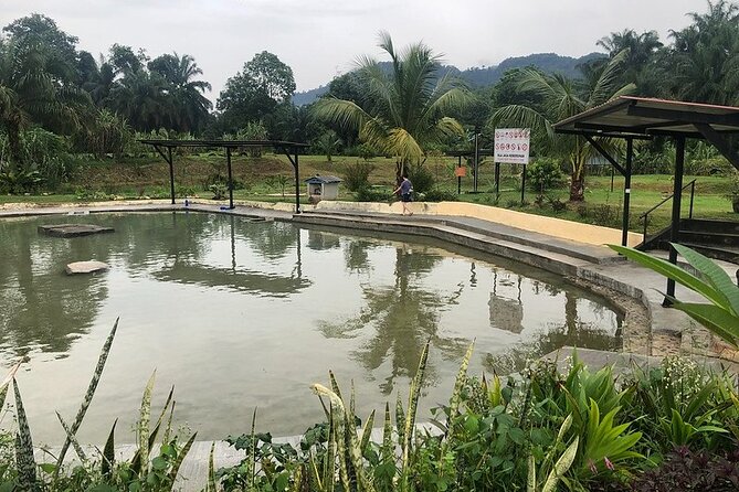 Immerse Local Hotsprings, Foods, and History With Locals - Logistics Details