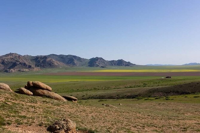 Immersive Mongolian Gobi Experience, Camel, Cousine, Stargaze, 2D - Booking Details