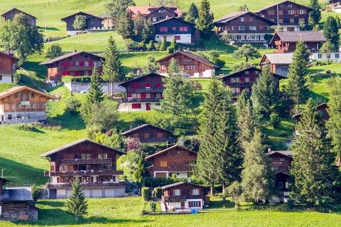 Interlaken and Grindelwald Private Tour - Transportation and Participation