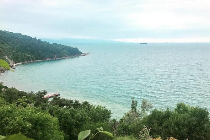 Istanbul Relaxing Princes Islands Tour - Small Group - Booking Details