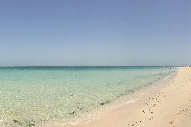 Jebel Ali Open Beach Private Transfers - Reservation Options