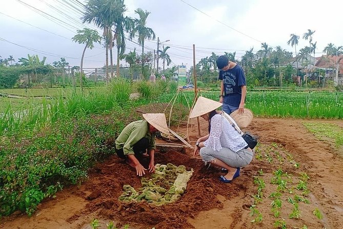 Jeep Tour to Hoi an Countryside With 3 Local Villages & Basket Boat Ride - Inclusions and Exclusions