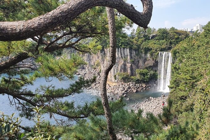 Jeju Island Taxi Join Tour - Traveler Reviews