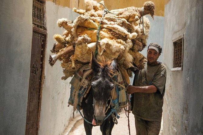 Jewish Quarters and Fes Old Medina Full Day Tour - Tips for Your Visit