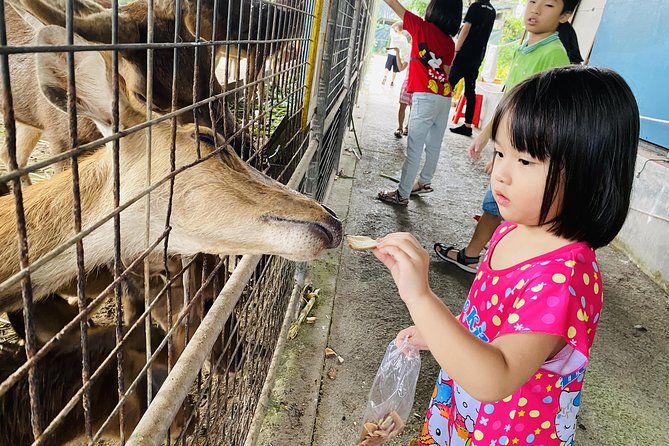 Johor Day Tour - Lasertag, Eco Farm, Go Kart [Car] - The Sum Up