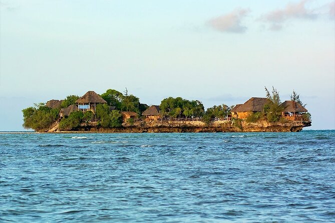 Jozani Forest Tour; The Island Pongwe Restaurant; Baraka Aquarium; Kendwa Beach - Pricing and Guarantee
