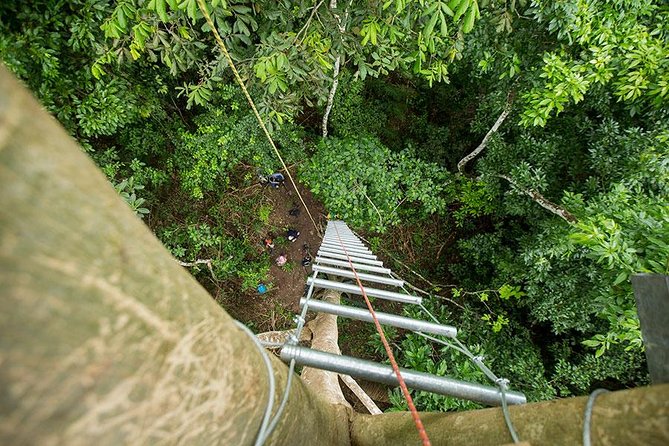 Jungle Adventure - 3D/2N - Frequently Asked Questions
