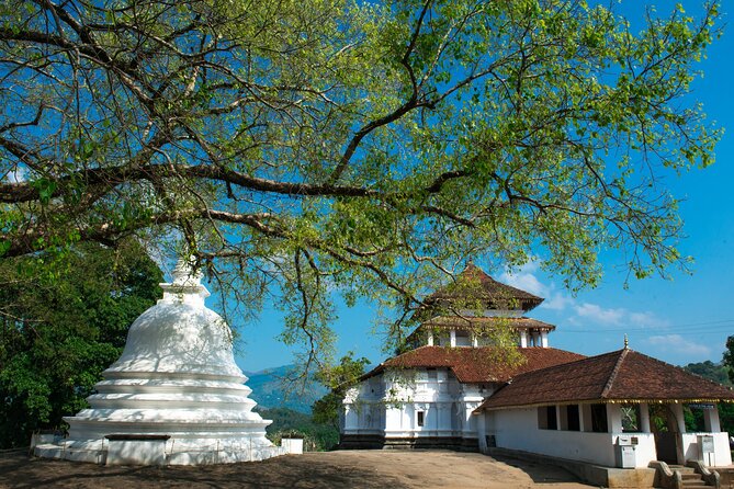 Kandy City Tour - Start Time