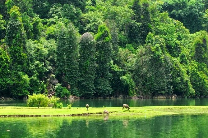 Kayaking On Ba Be Lake 2 Days 1 Night - Day 2 Breakfast