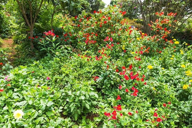 Kiambethu Tea Farm Tour From Nairobi With Lunch - Important Notes