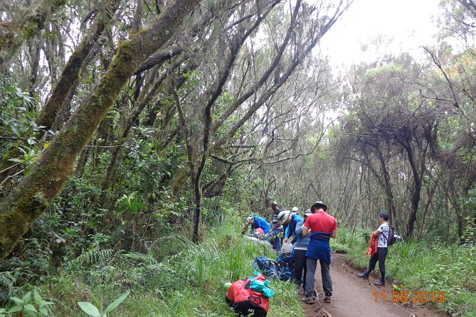 Kilimanjaro Day Hike - Tips for a Successful Hike