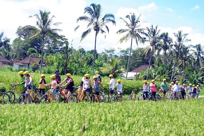 Kintamani Ubud Cycling - Weather Dependence and Traveler Requirements