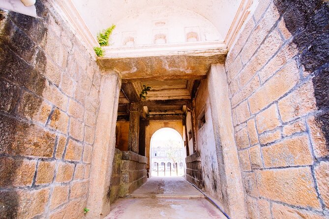Kite Feeding Experience at Mehrangarh Fort, Jodhpur - Frequently Asked Questions