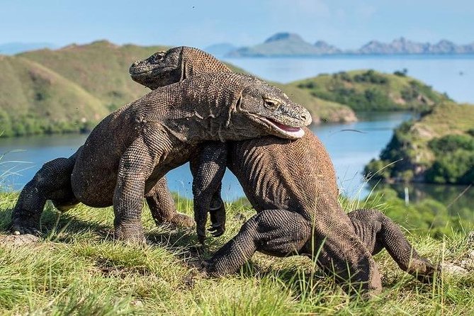 Komodo Sailing Cruise - What To Bring and Wear
