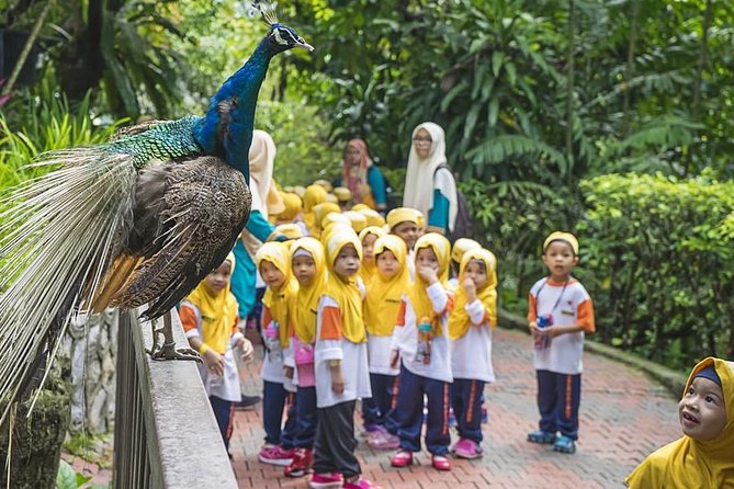 Kuala Lumpur Bird Park & Butterfly Farm Tour Include Tickets - Booking Process