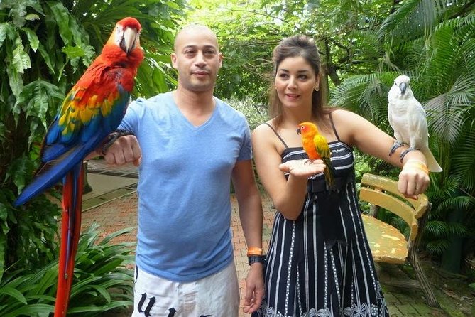 Kuala Lumpur Nature And Gardens Tour - Pricing Details