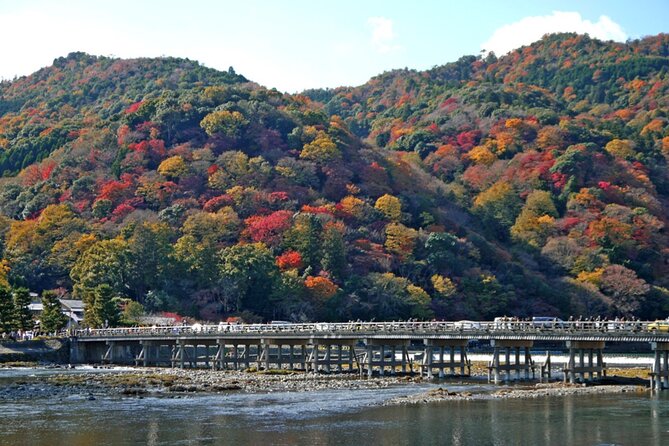 Kyoto ITALIAN GUIDE Golden Pagoda Bamboo Forest Dry Garden - Tour Details